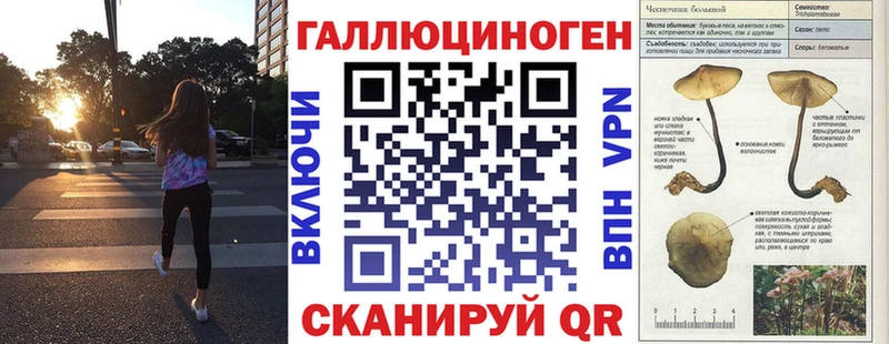 Псилоцибиновые грибы Cubensis Шахунья