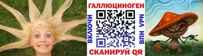 Купить где  Шахунья  Псилоцибиновые грибы Psilocybine cubensis 